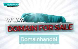 Domainhandel - Domain Verkauf - Die Erfolgsbringer - Medienagentur - Leistung Teaser